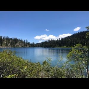 Meet your Posher, Iris